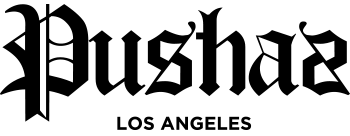 PUSHZLA.png